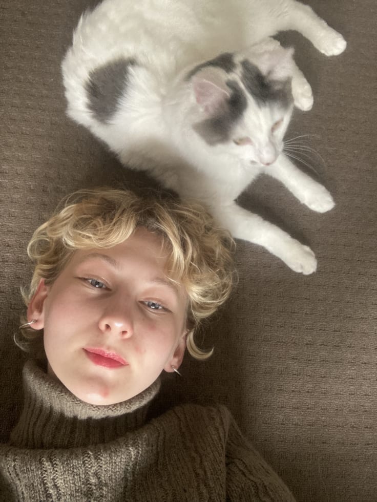 Photo in Sitter's gallery