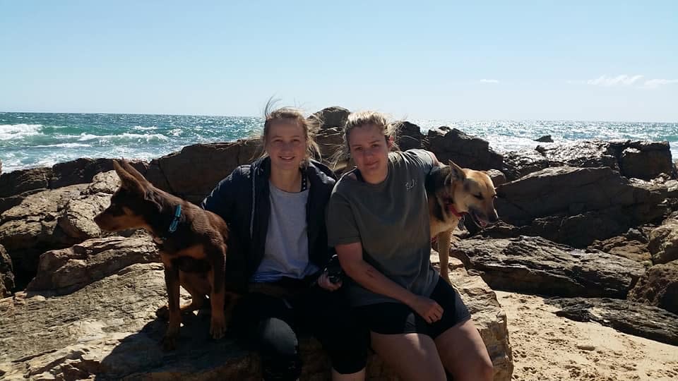 Photo in Sitter's gallery