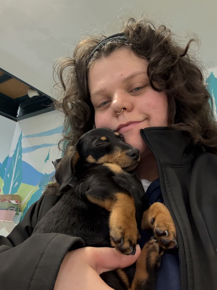 Photo in Sitter's gallery