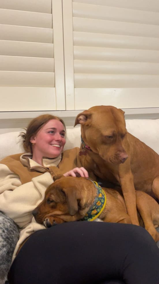 Photo in Sitter's gallery