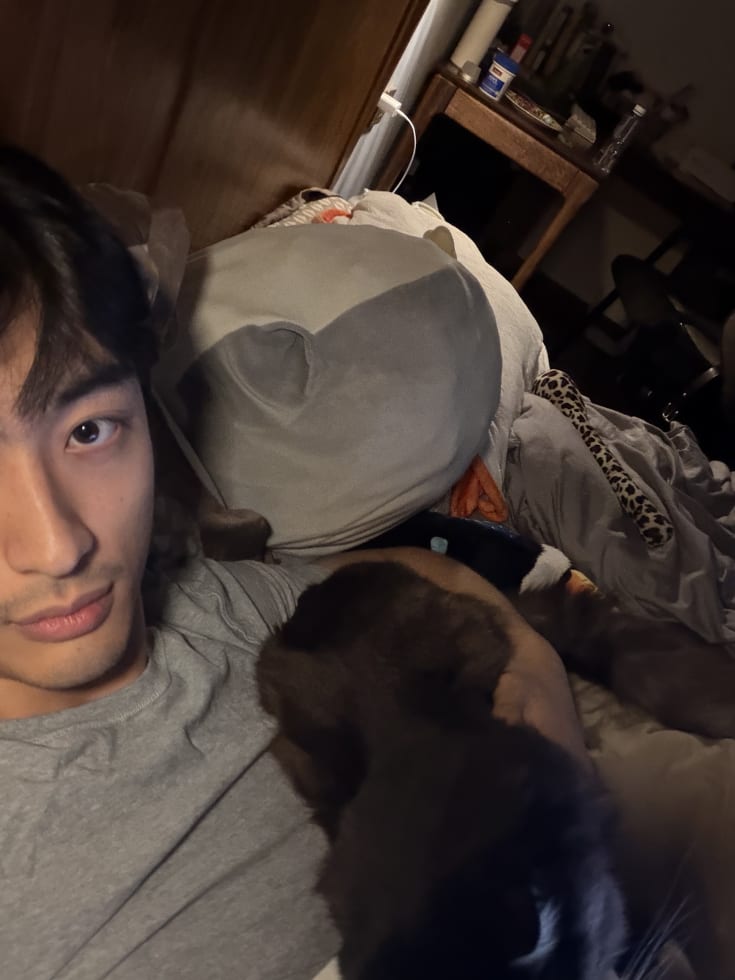 Photo in Sitter's gallery