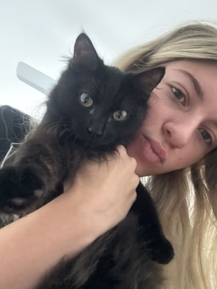 Photo in Sitter's gallery