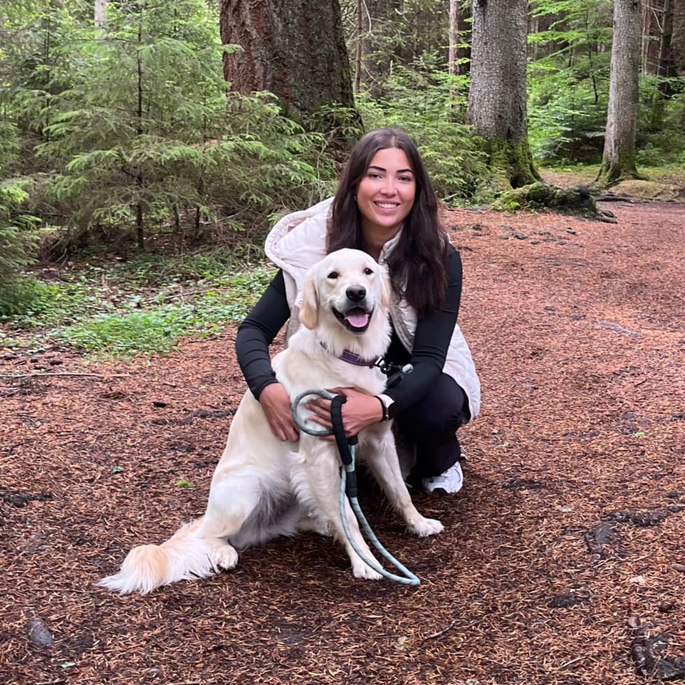 Photo in Sitter's gallery