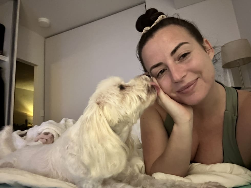 Photo in Sitter's gallery