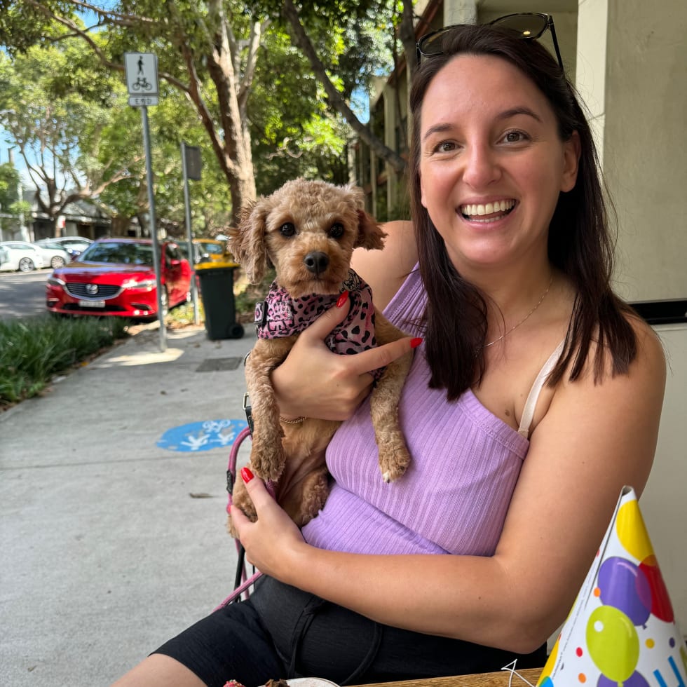 Photo in Sitter's gallery