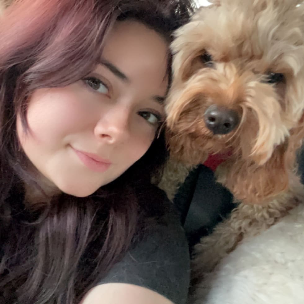 Photo in Sitter's gallery