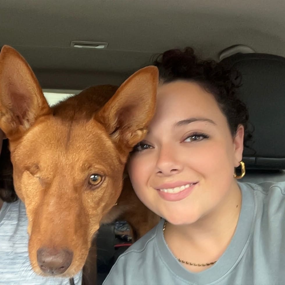 Photo in Sitter's gallery