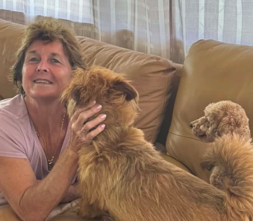 Photo in Sitter's gallery