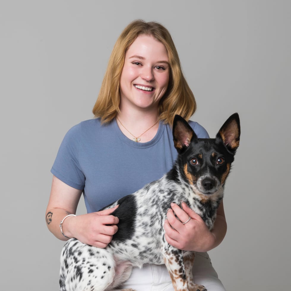 Photo in Sitter's gallery