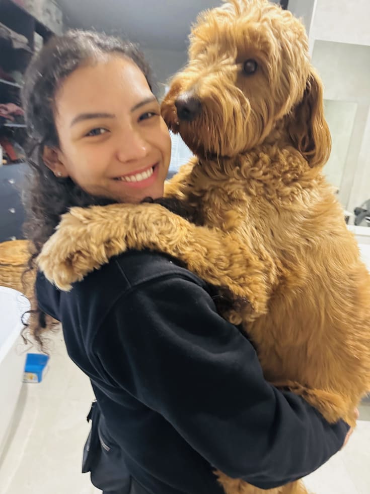 Photo in Sitter's gallery