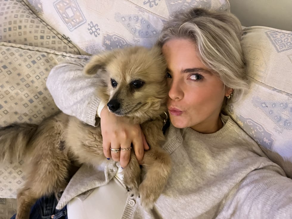 Photo in Sitter's gallery