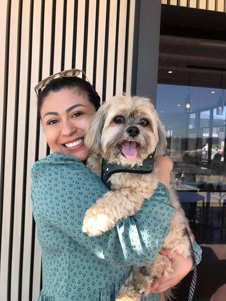 Photo in Sitter's gallery