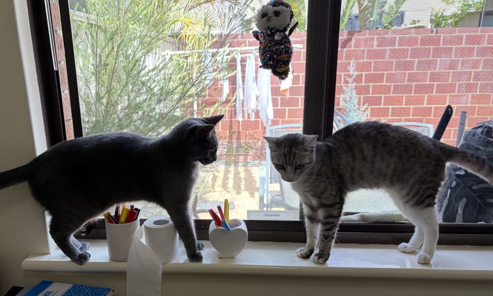 Photo in Sitter's gallery