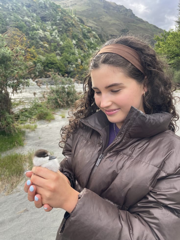 Photo in Sitter's gallery