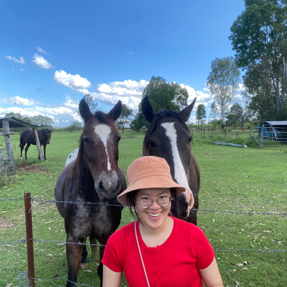 Photo in Sitter's gallery