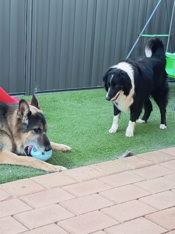 Photo in Sitter's gallery