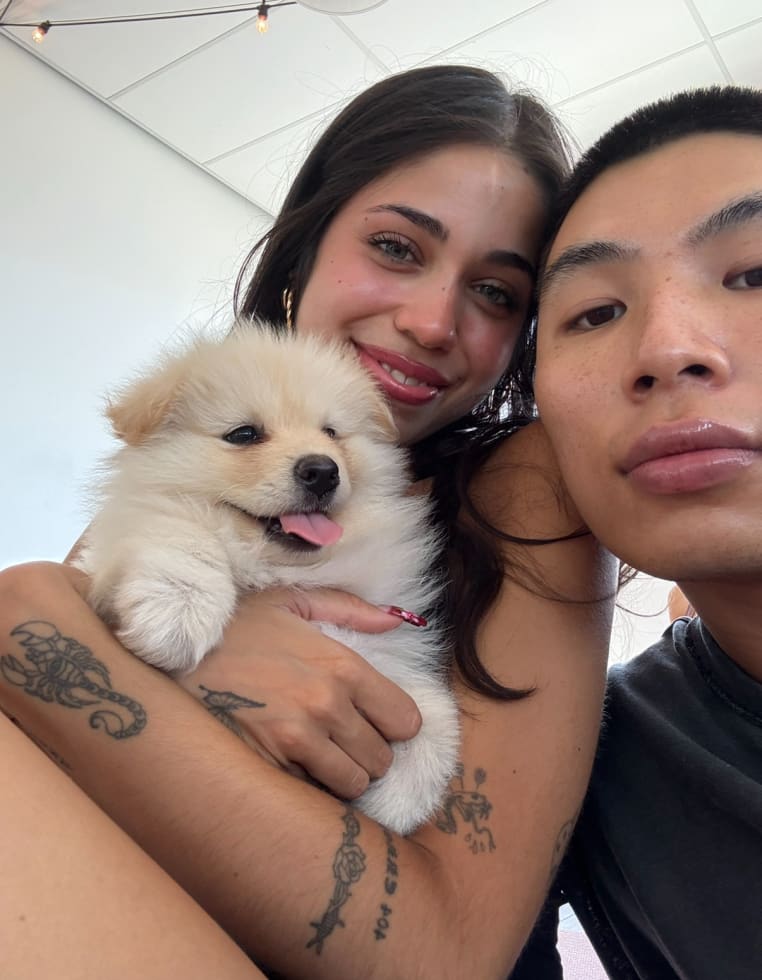 Photo in Sitter's gallery