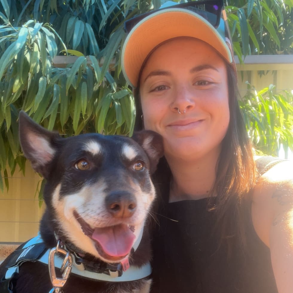 Photo in Sitter's gallery