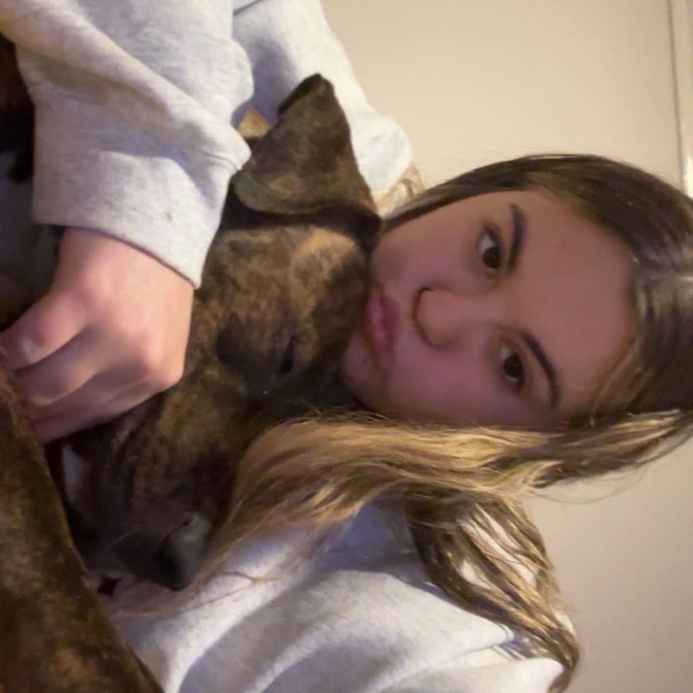 Photo in Sitter's gallery