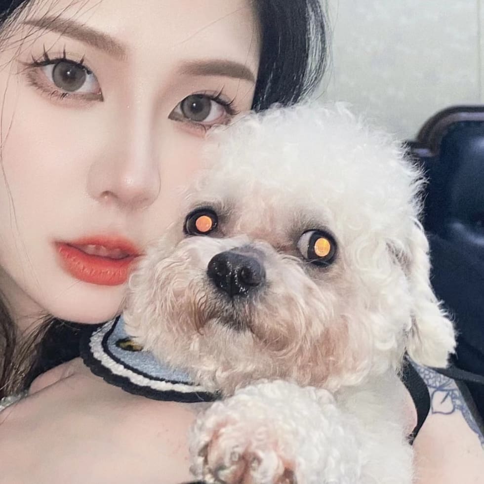 Photo in Sitter's gallery