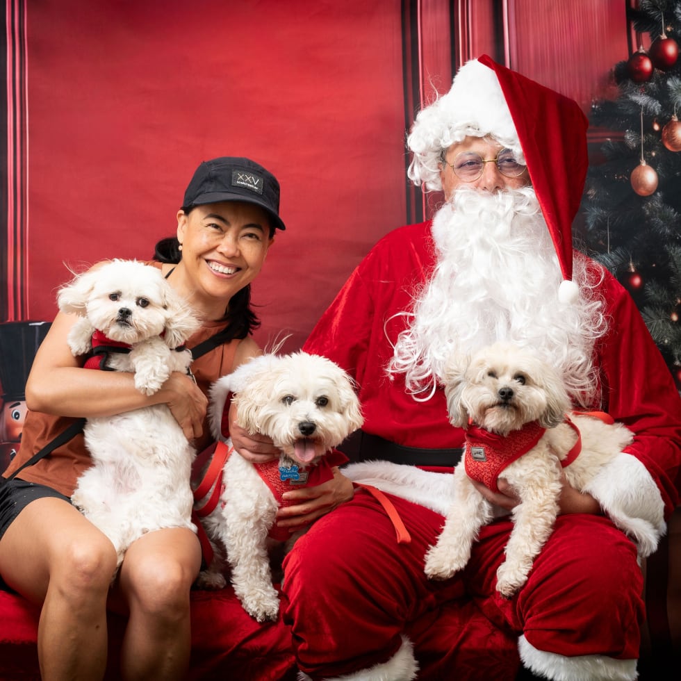 Photo in Sitter's gallery