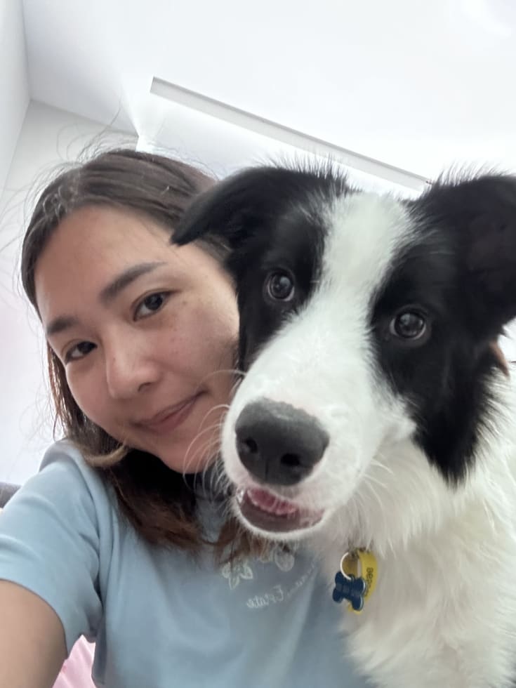 Photo in Sitter's gallery