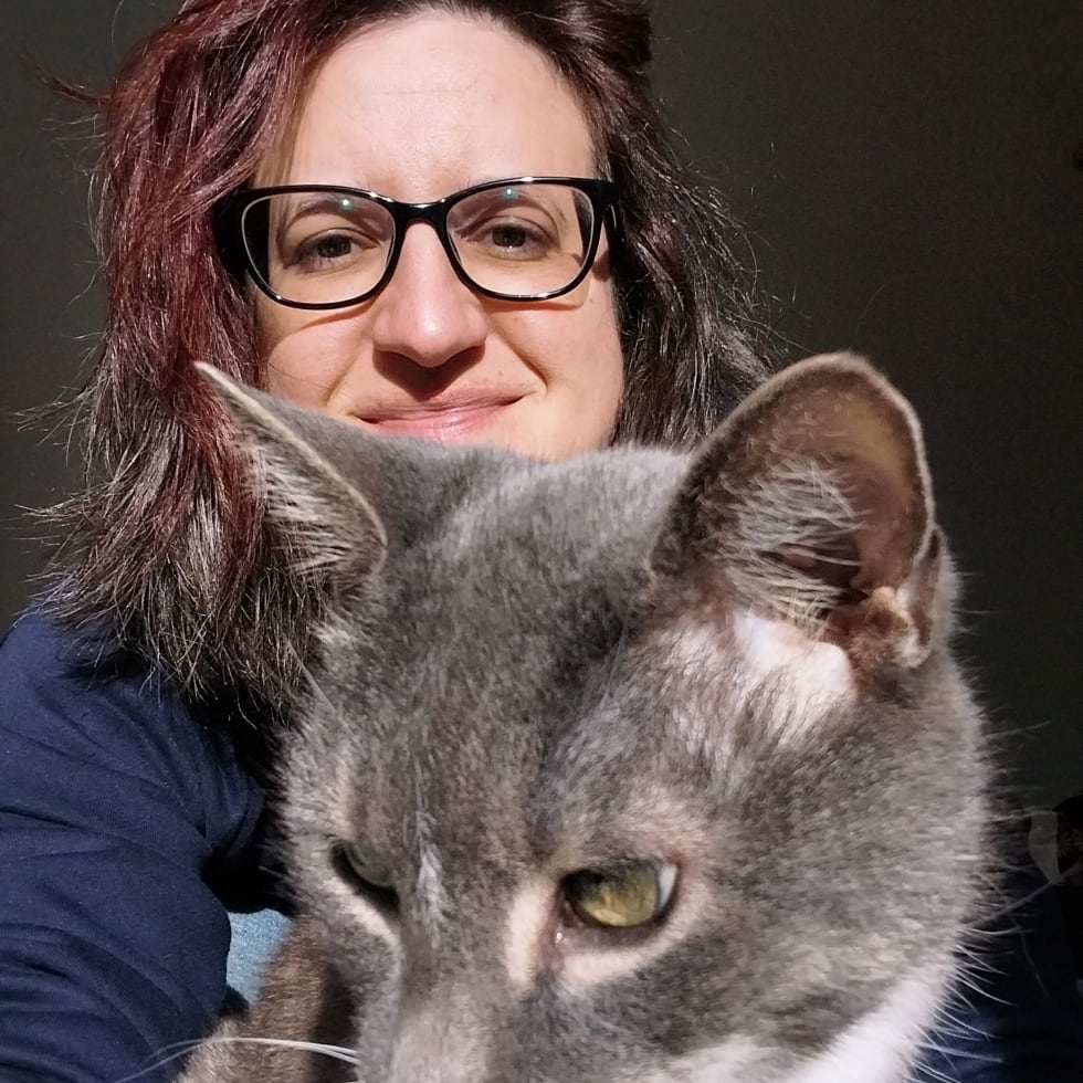 Photo in Sitter's gallery