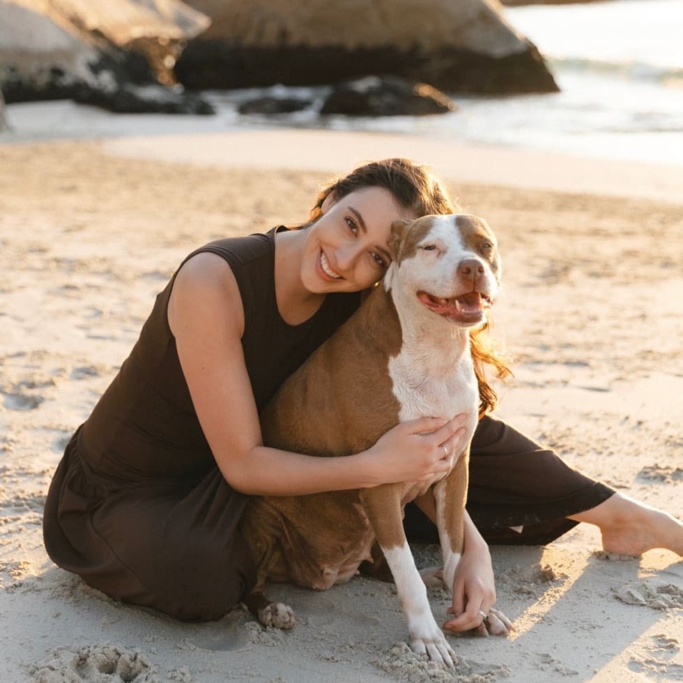 Photo in Sitter's gallery