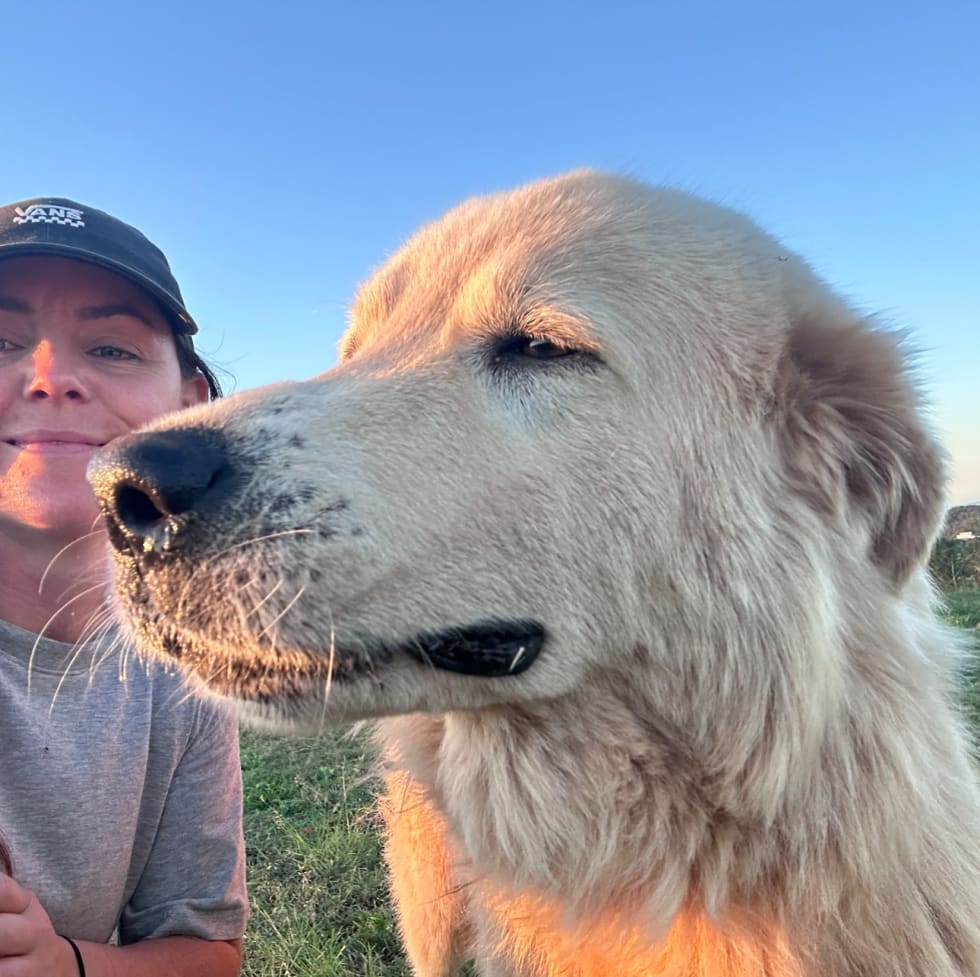 Photo in Sitter's gallery