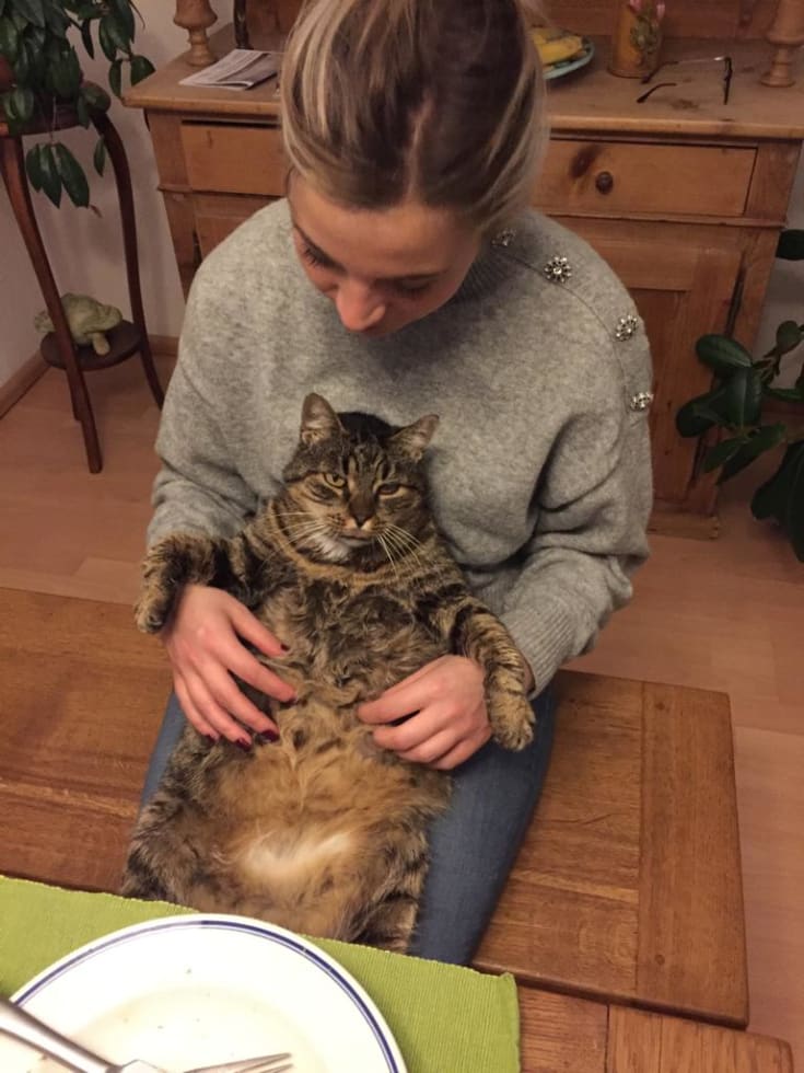 Photo in Sitter's gallery