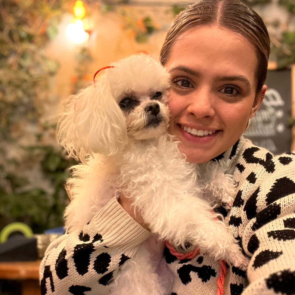 Photo in Sitter's gallery