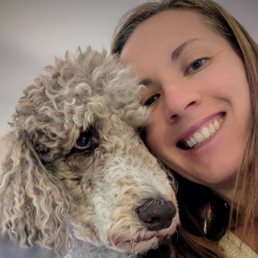 Photo in Sitter's gallery