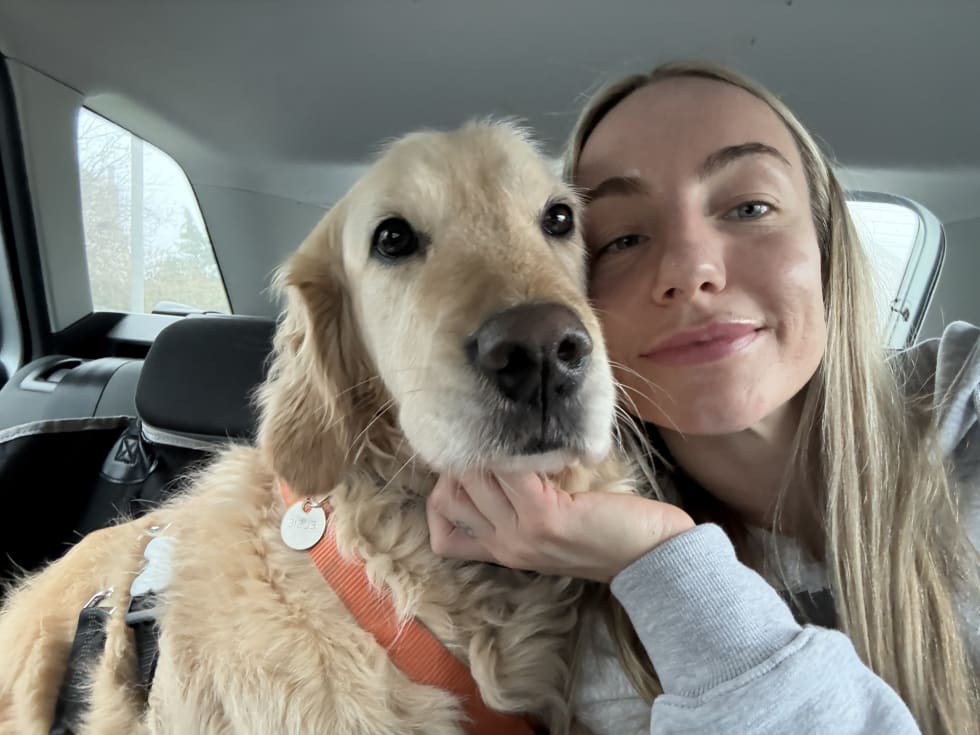 Photo in Sitter's gallery