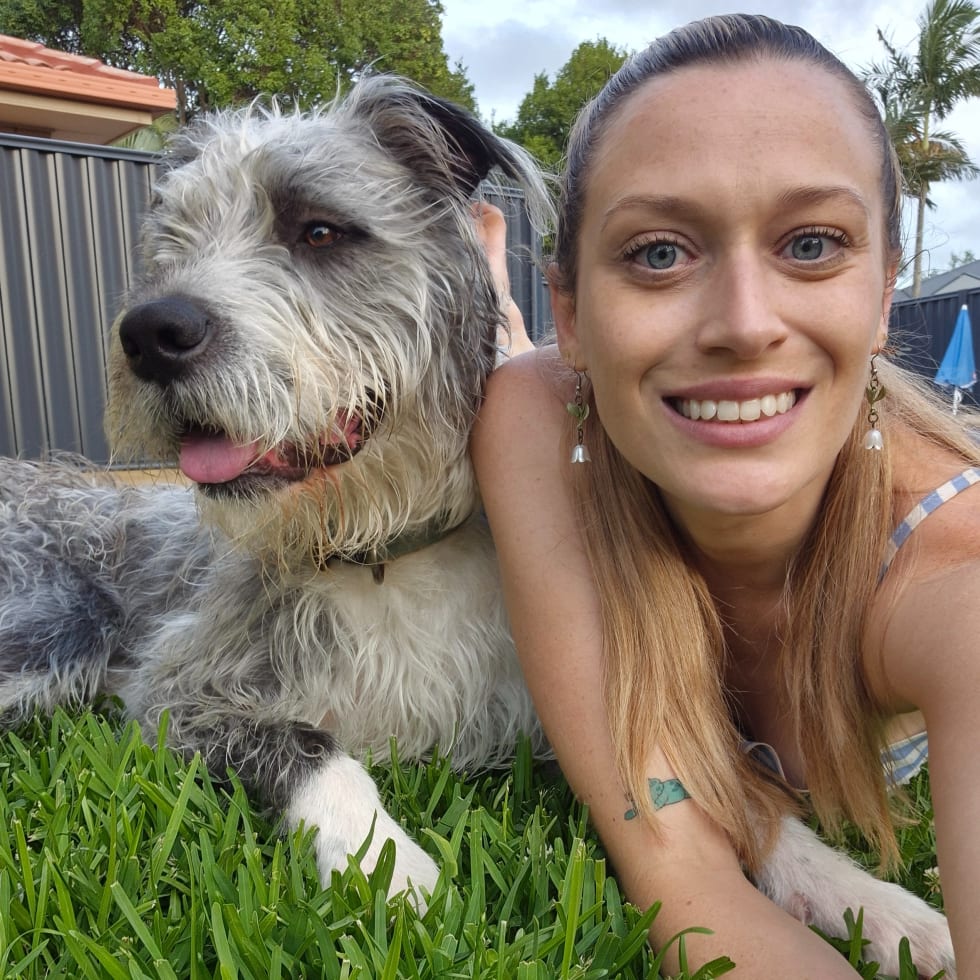 Photo in Sitter's gallery