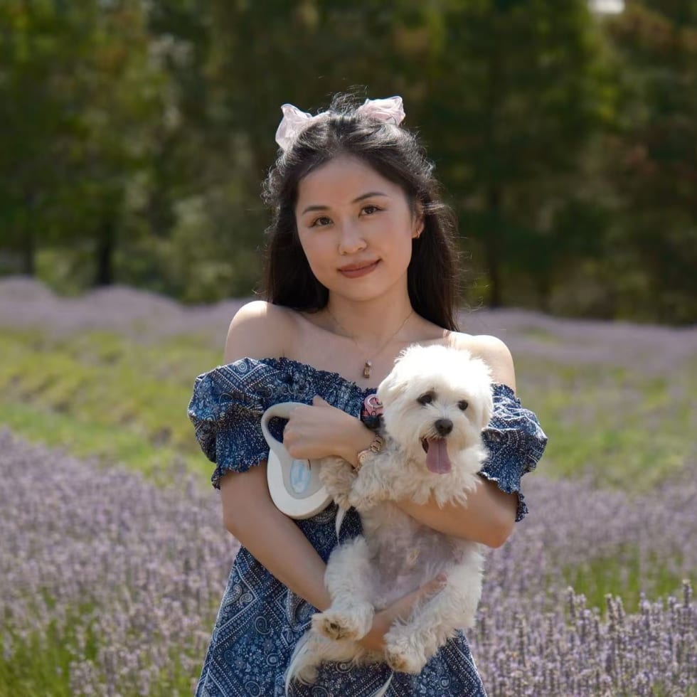 Photo in Sitter's gallery