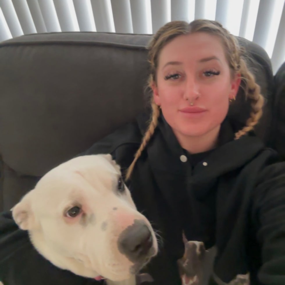 Photo in Sitter's gallery