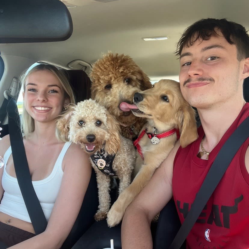 Photo in Sitter's gallery