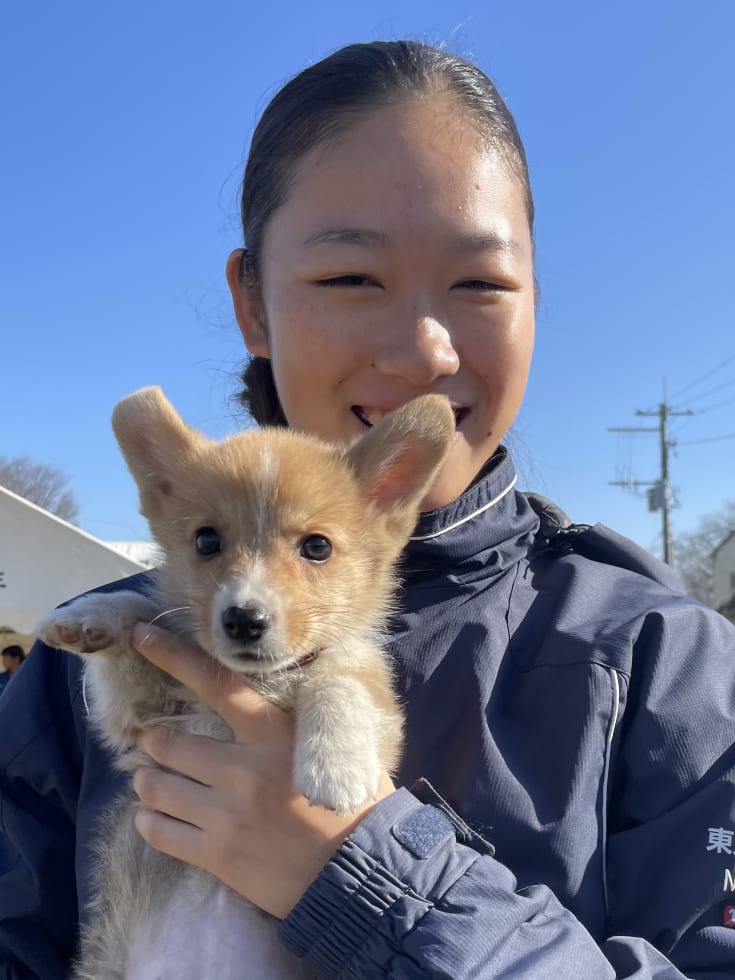 Photo in Sitter's gallery