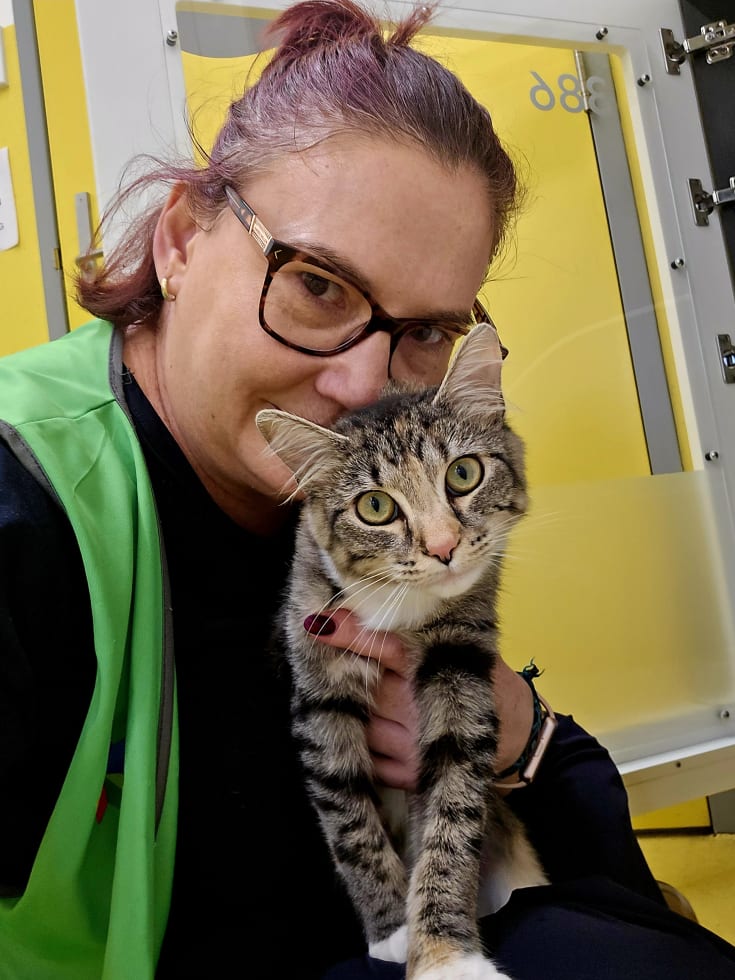 Photo in Sitter's gallery