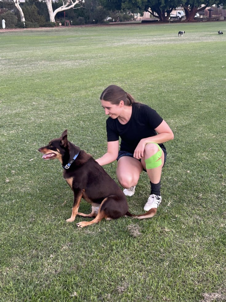 Photo in Sitter's gallery