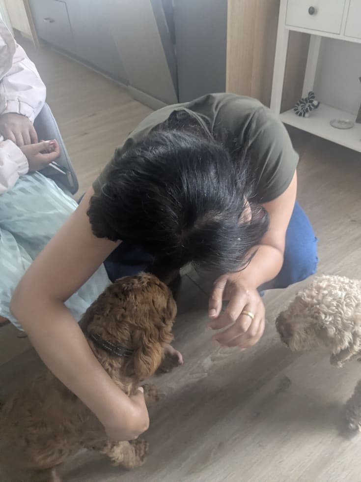 Photo in Sitter's gallery