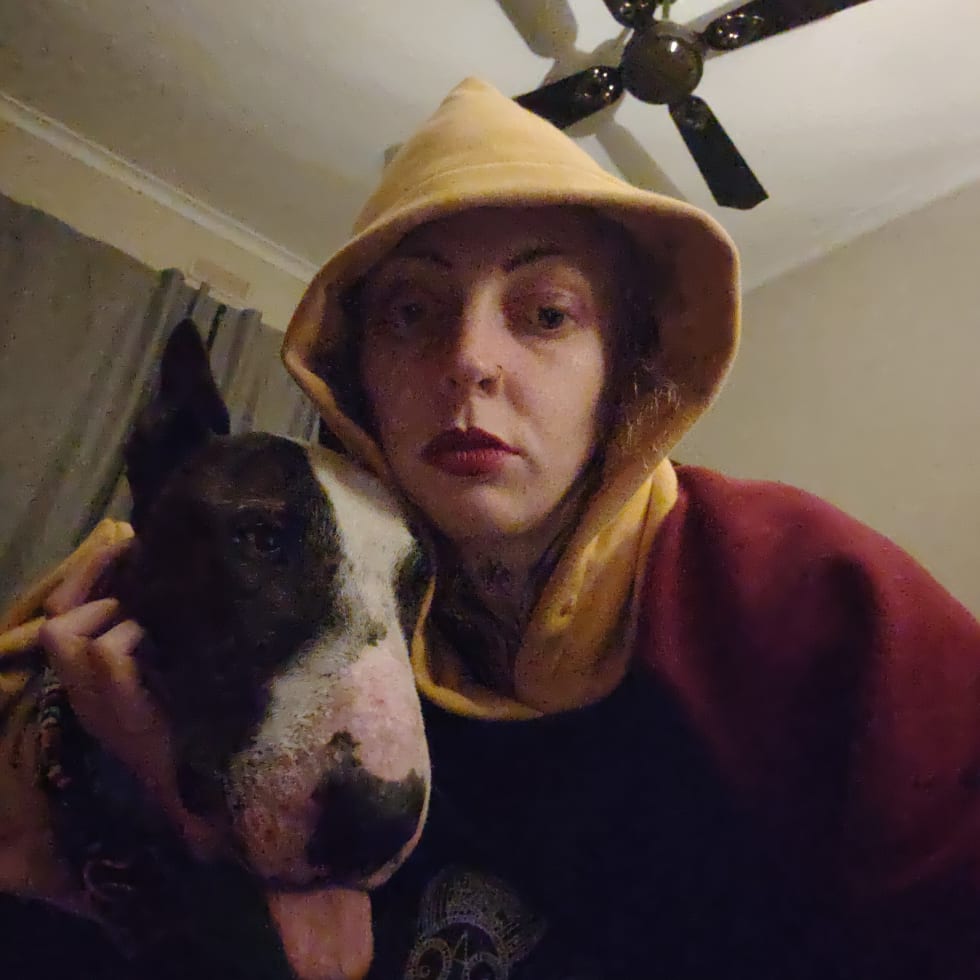 Photo in Sitter's gallery