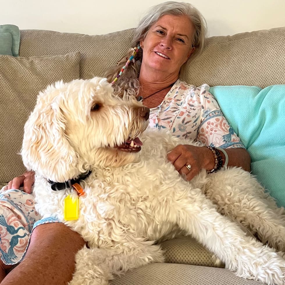 Photo in Sitter's gallery