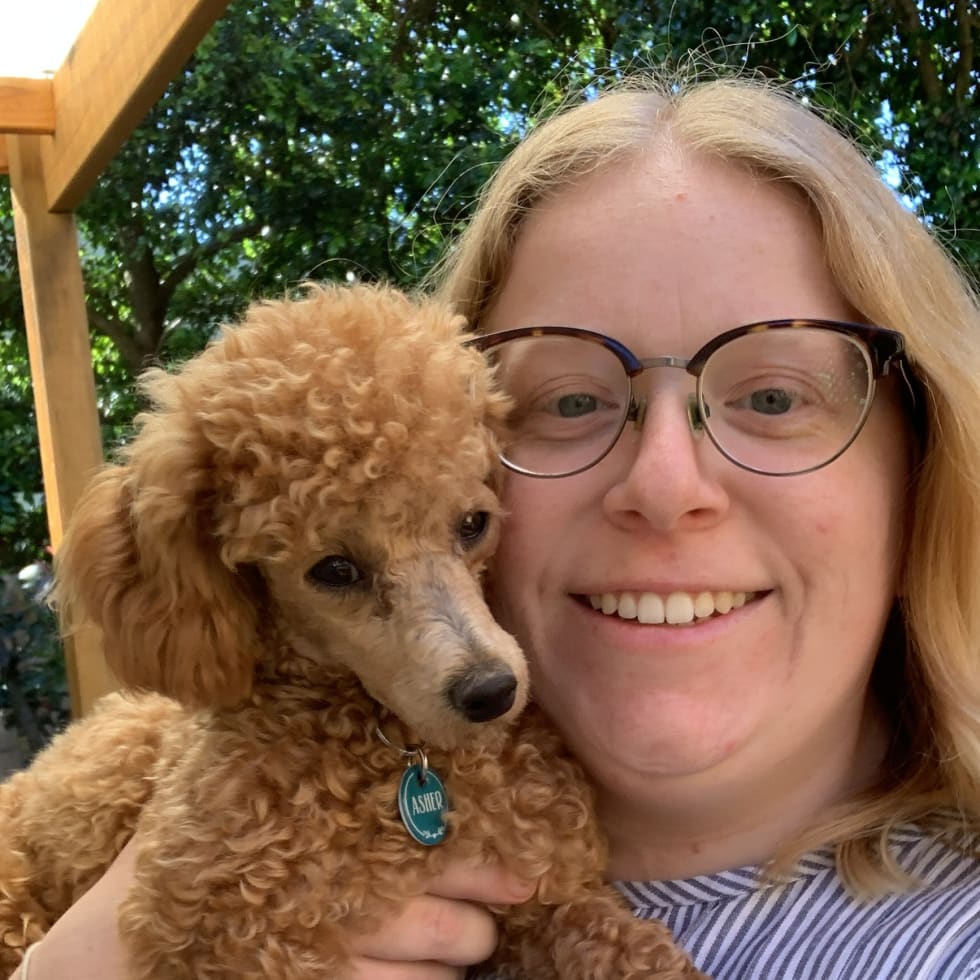 Photo in Sitter's gallery