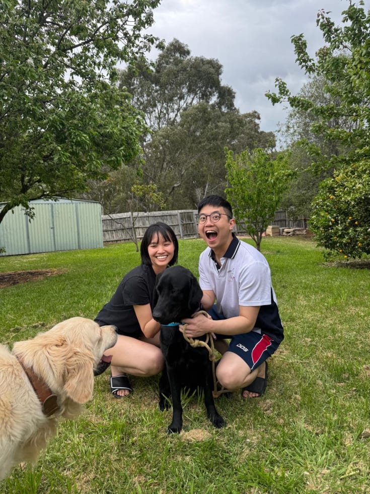 Photo in Sitter's gallery