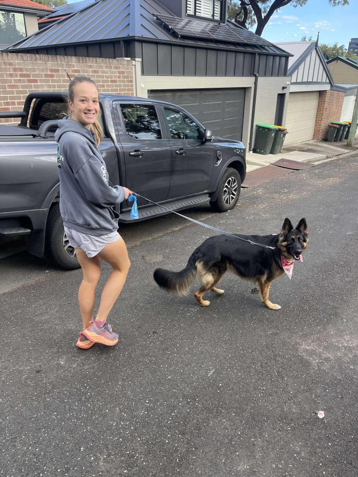 Photo in Sitter's gallery