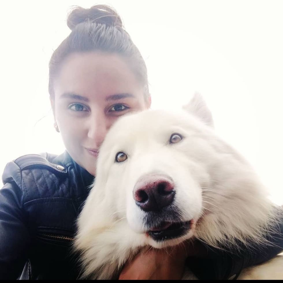 Photo in Sitter's gallery