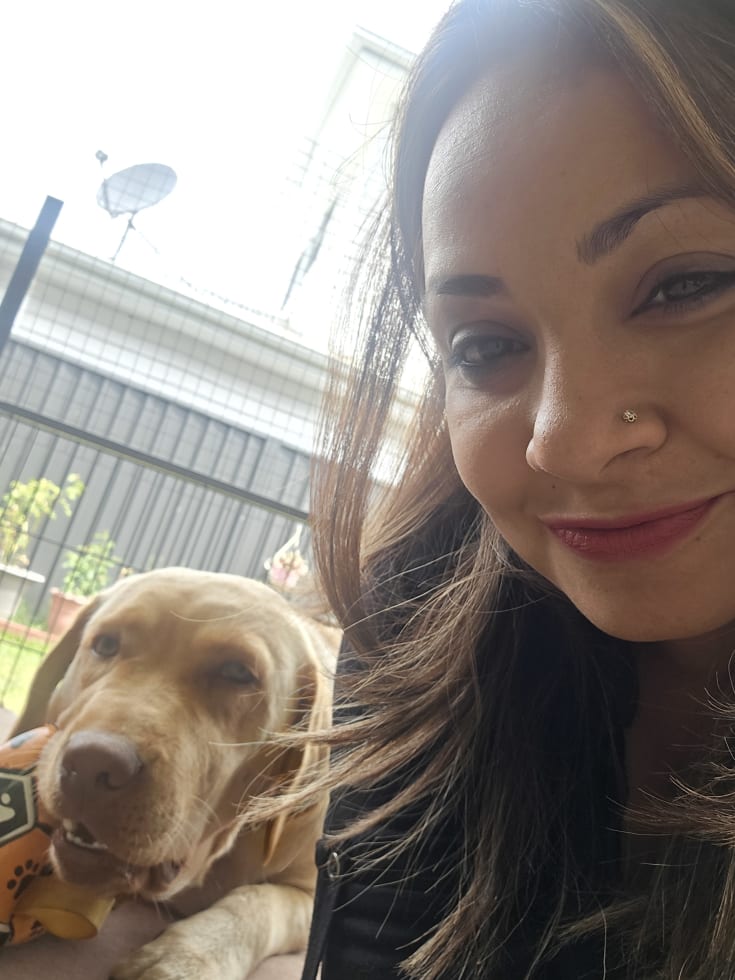 Photo in Sitter's gallery