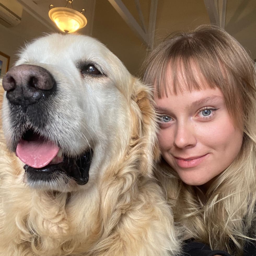 Photo in Sitter's gallery