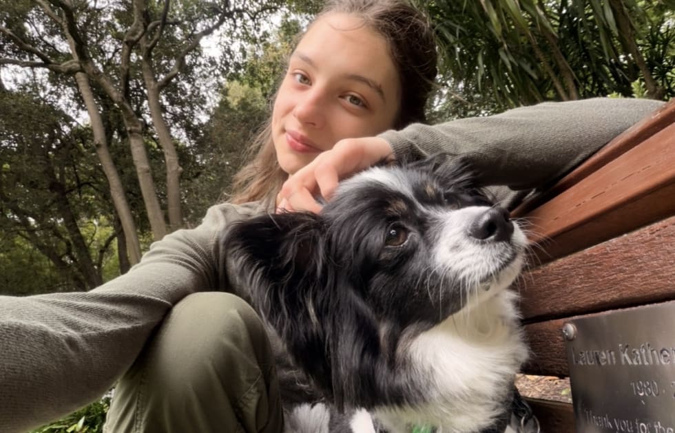 Photo in Sitter's gallery